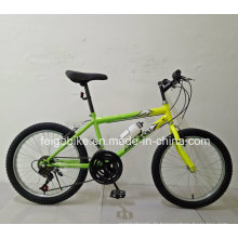 Fabrication Vélo de vélo VTT de 20 vélos à 20 vitesses (FP-KDB-17091)